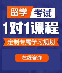 大阴帝内射留学考试一对一精品课